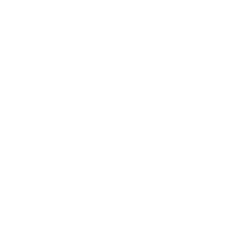 Web Packages