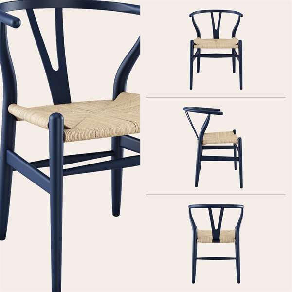 Carl hansen ch24 wegner